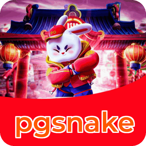 Interface pgsnake