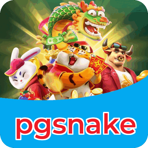Equipe de suporte ao cliente da pgsnake